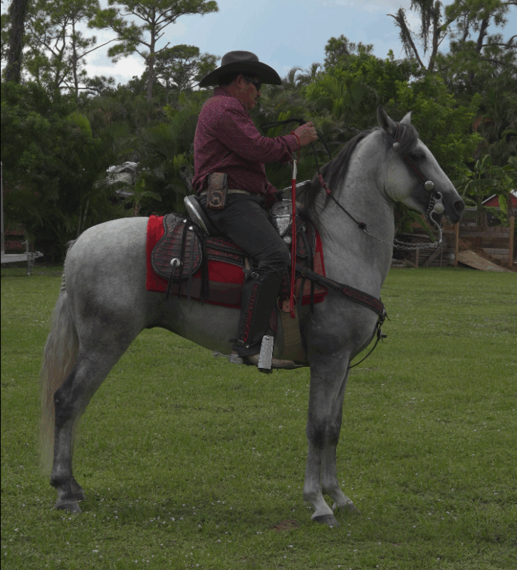 EL-BAILADOR-RANCHO-JIMENEZ (3)