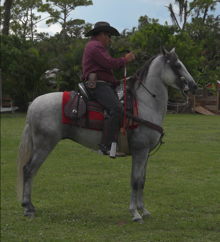 EL-BAILADOR-RANCHO-JIMENEZ (3)