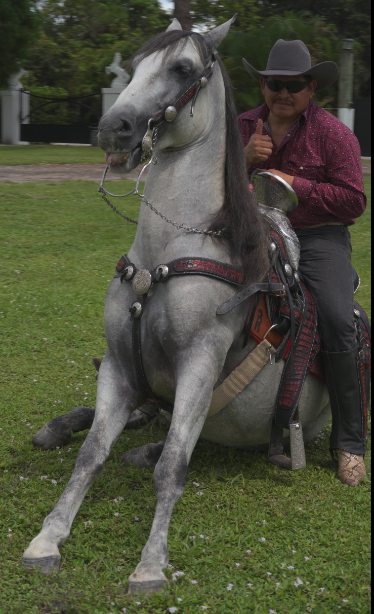 EL-BAILADOR-RANCHO-JIMENEZ (5)