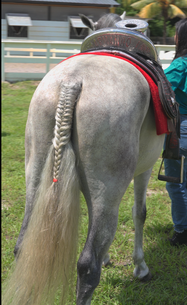 EL-BAILADOR-RANCHO-JIMENEZ (6)