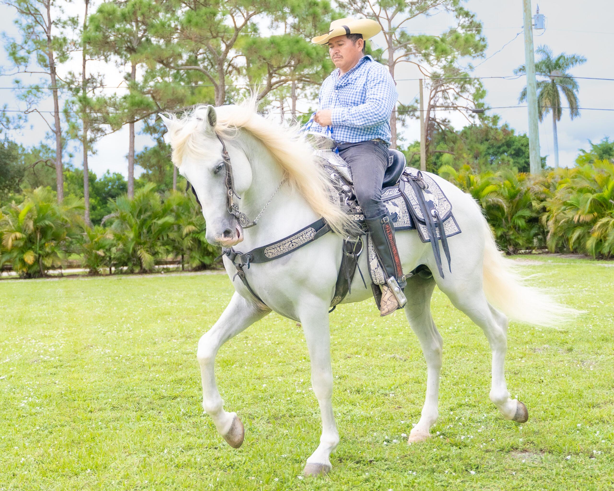 FlemingPH_10 de septiembre de 2025_001-2