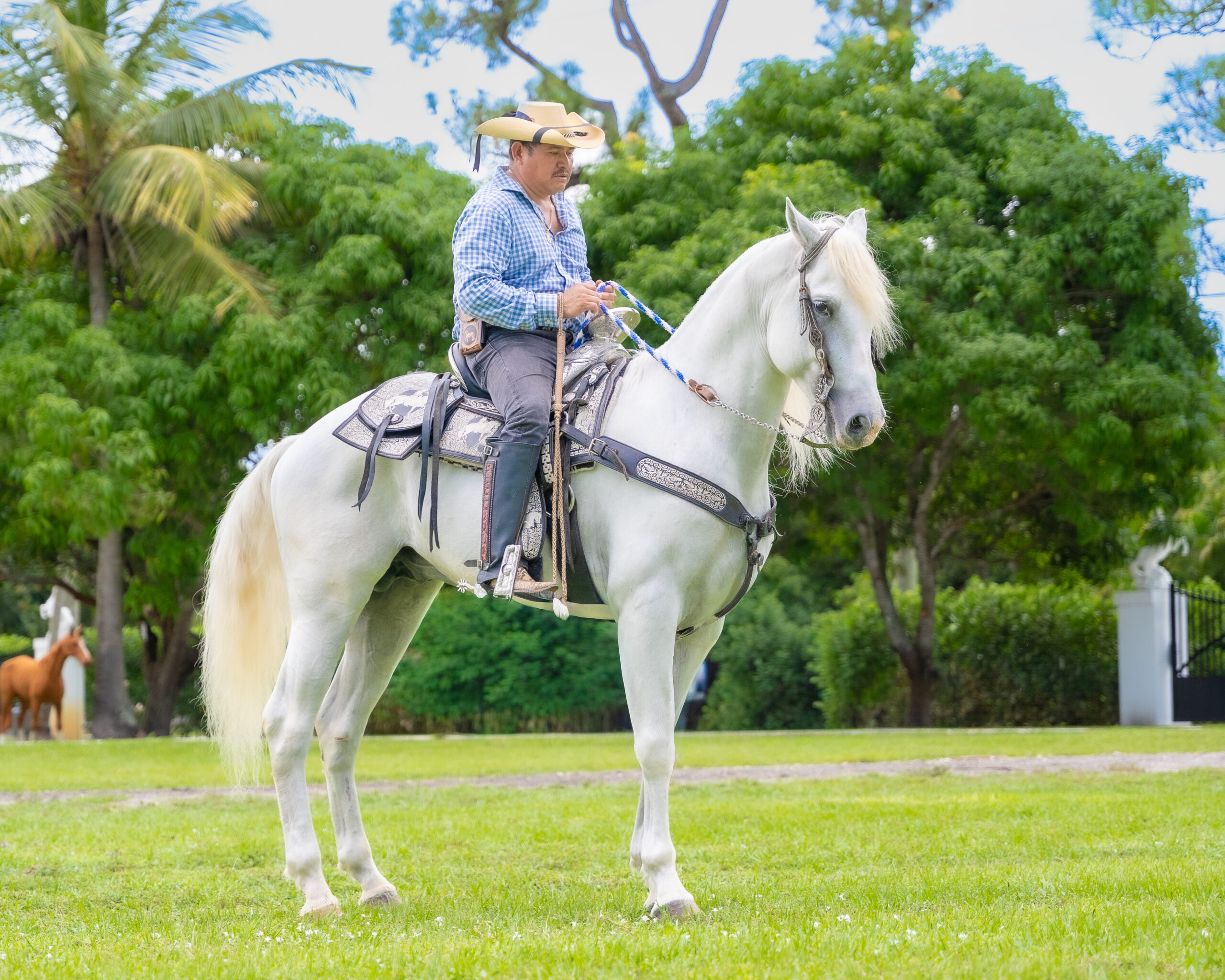 FlemingPH_10 de septiembre de 2025_003-2