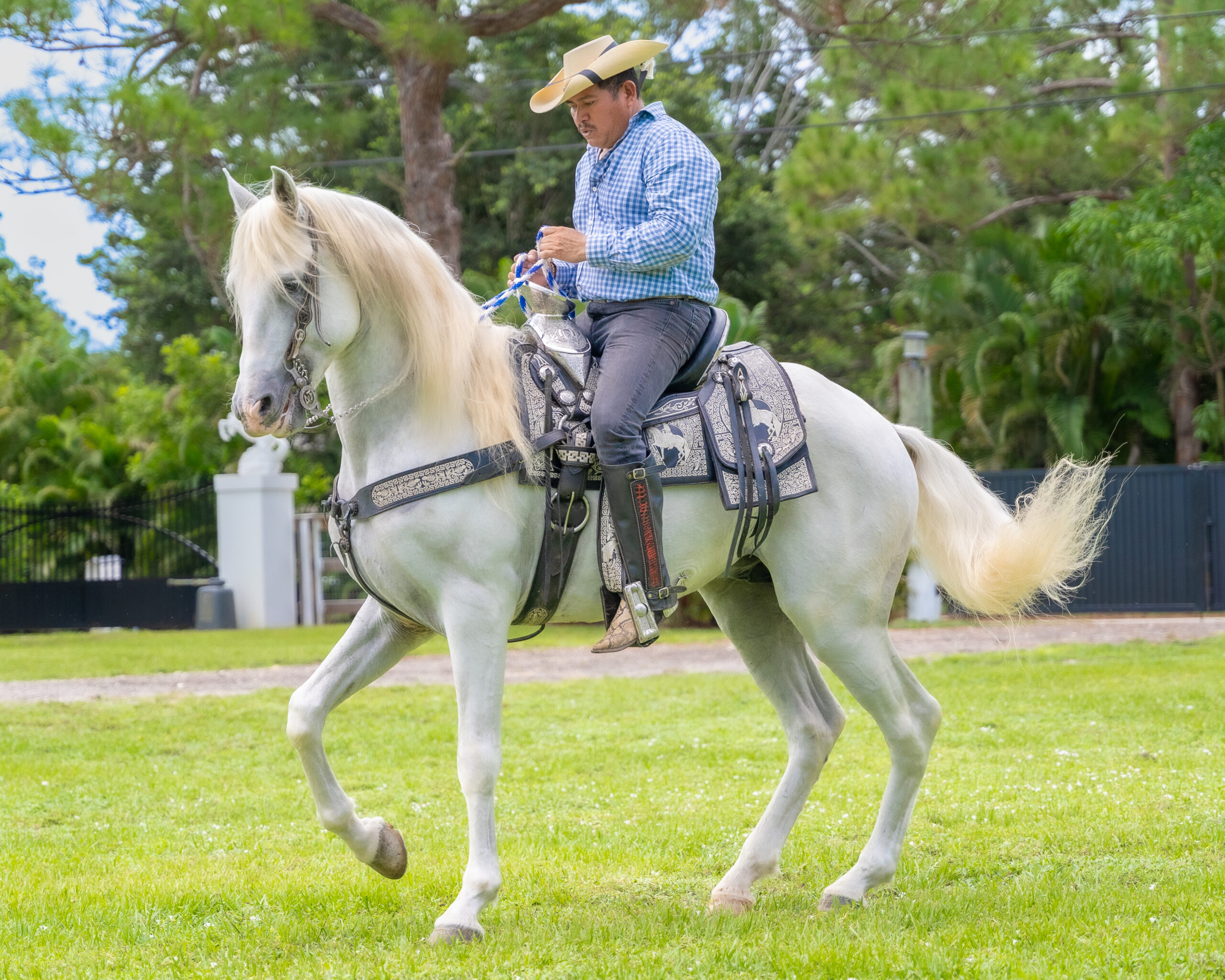 FlemingPH_10 de septiembre de 2025_004-2