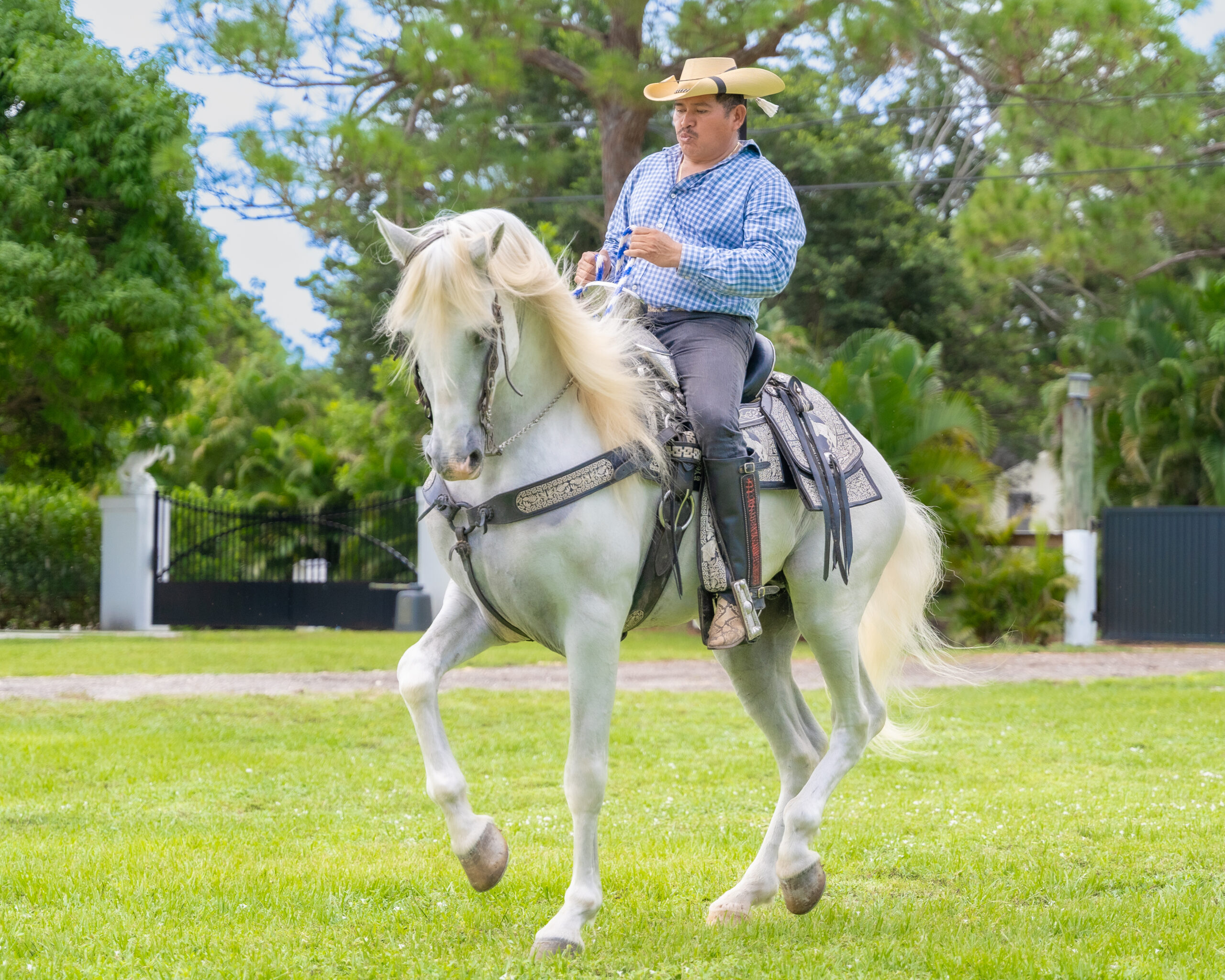 FlemingPH_10 de septiembre de 2025_005-2