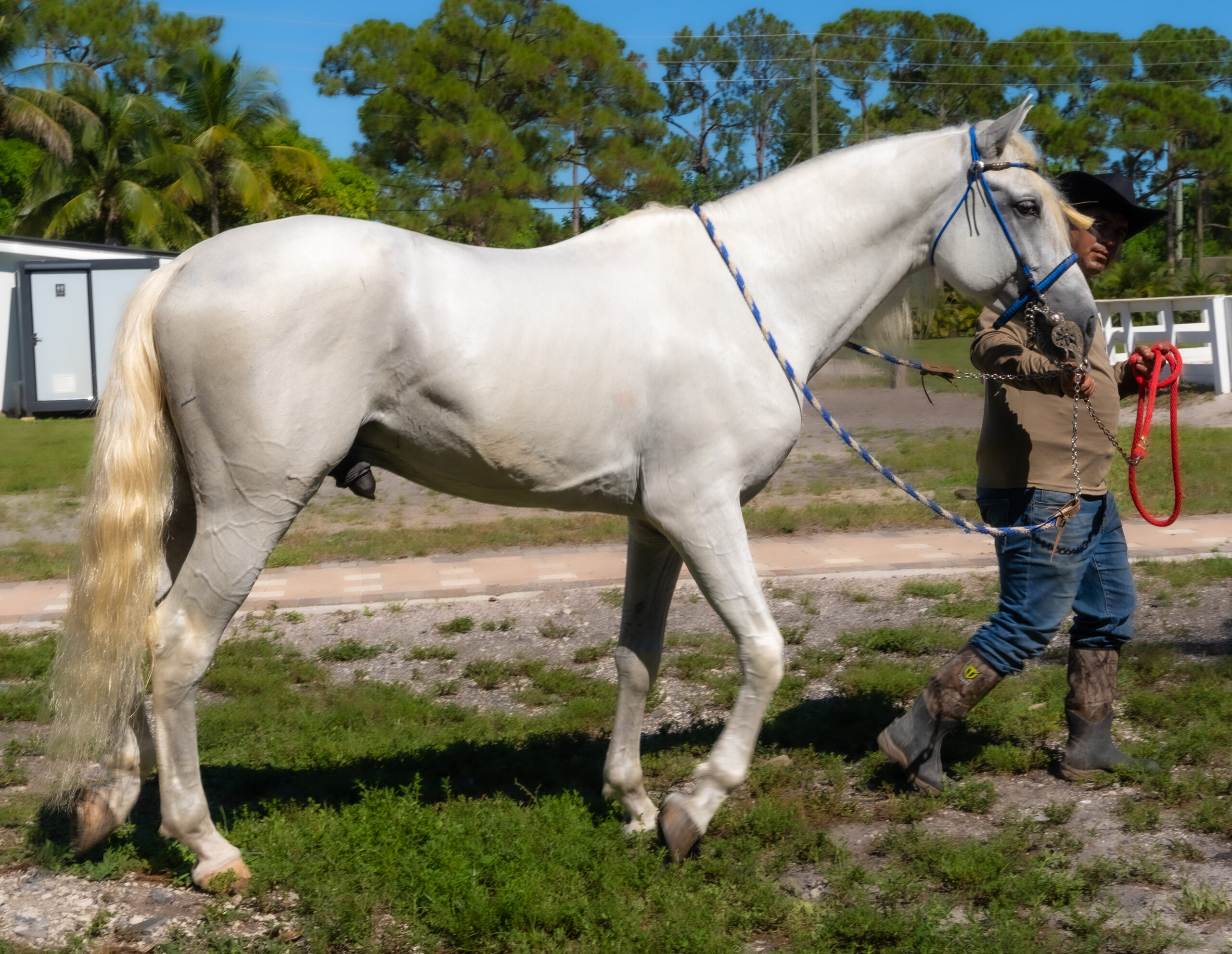 FlemingPH_14 de agosto de 2025_001-2