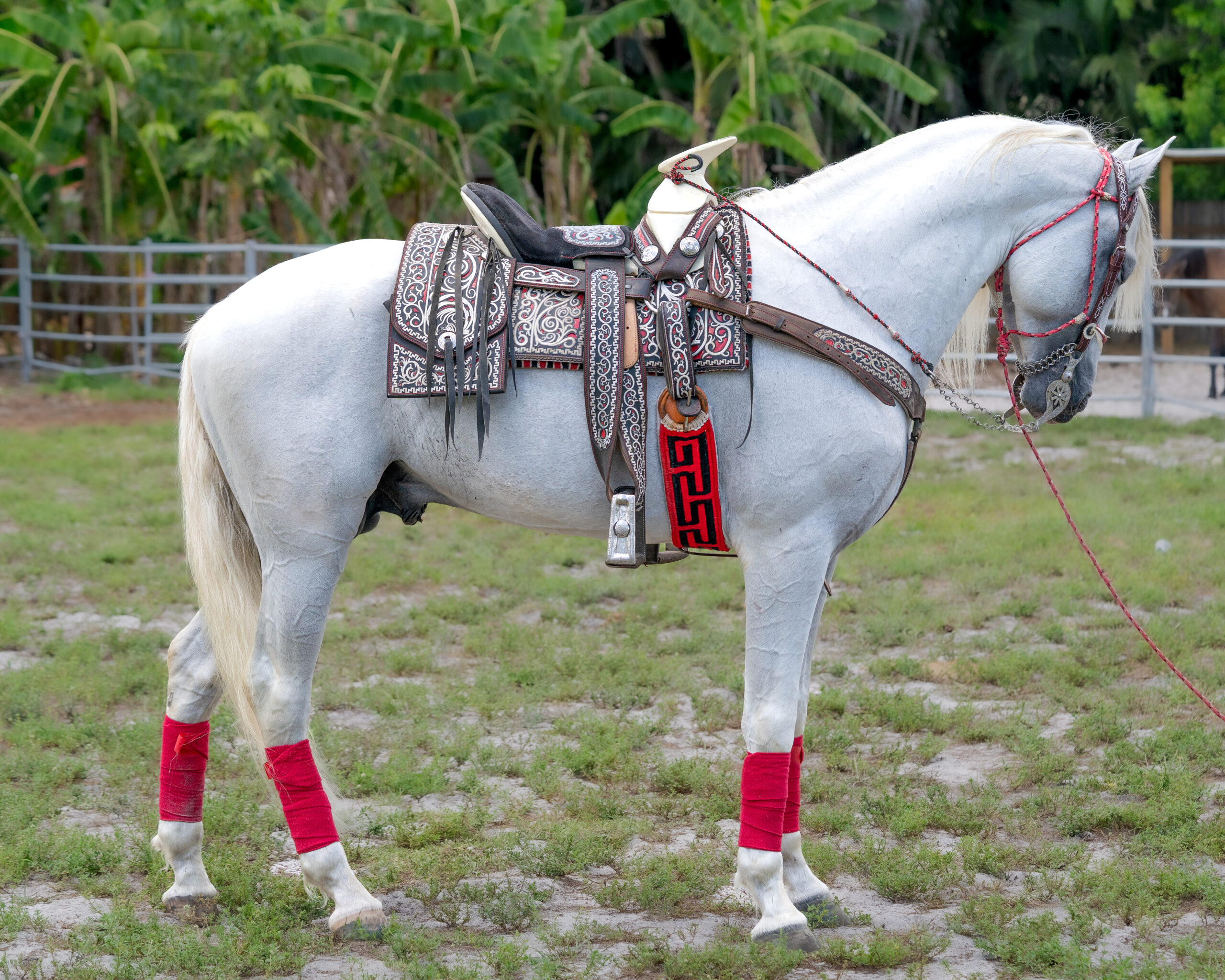 FlemingPH_16 de junio de 2025_001-6