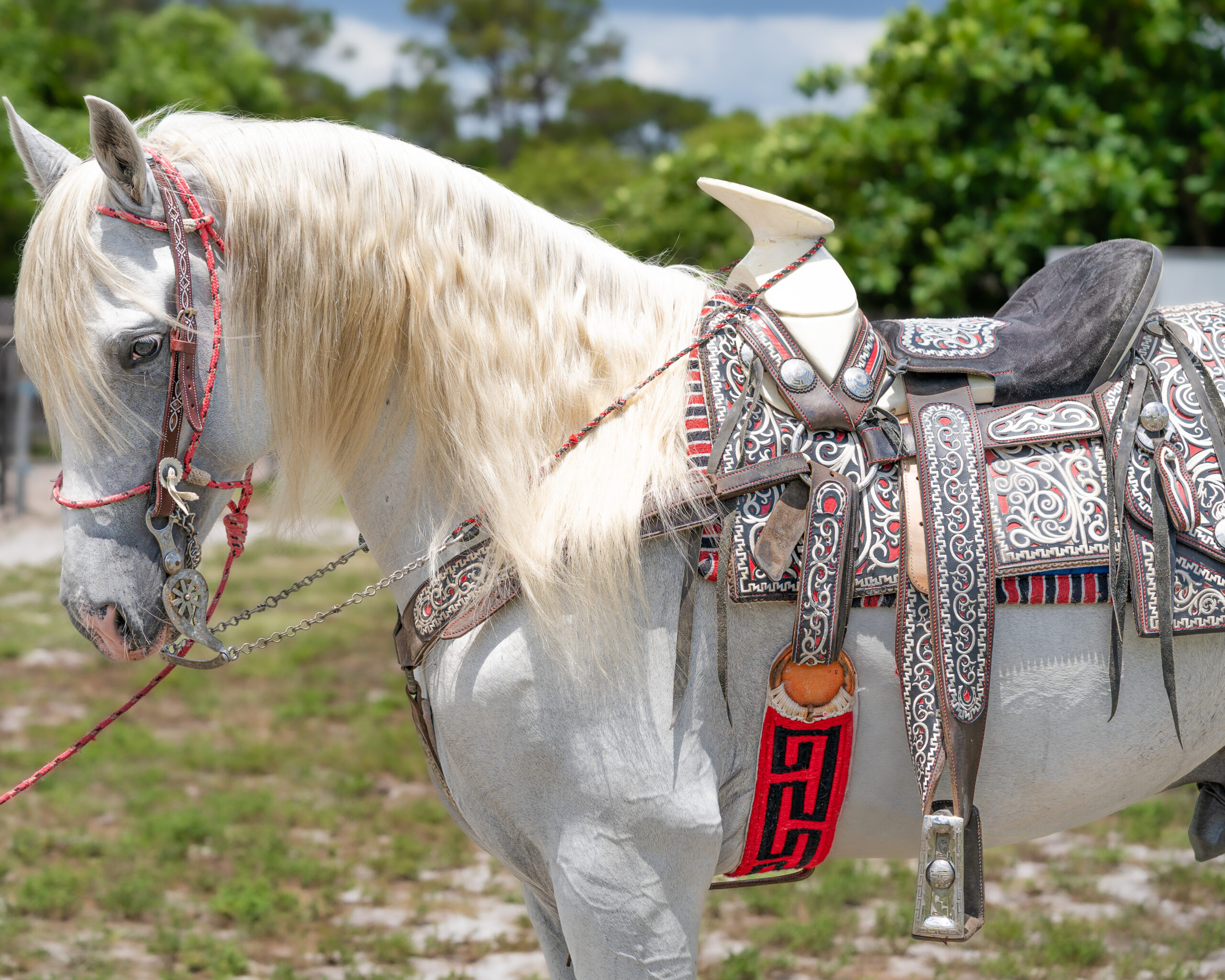 FlemingPH_16 de junio de 2025_005-6