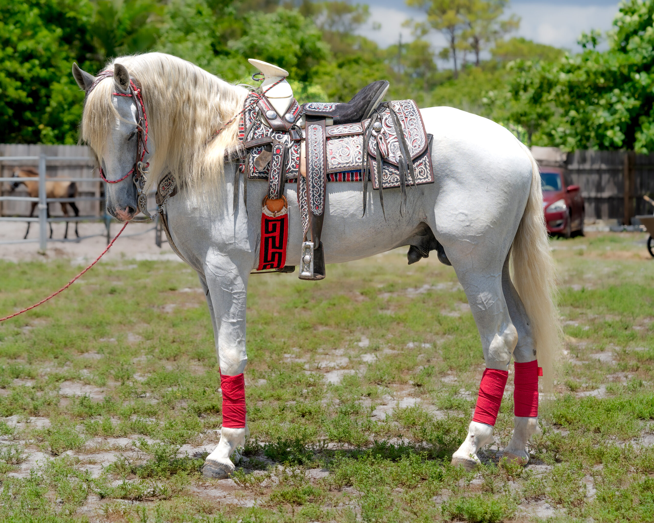 FlemingPH_16 de junio de 2025_006-6