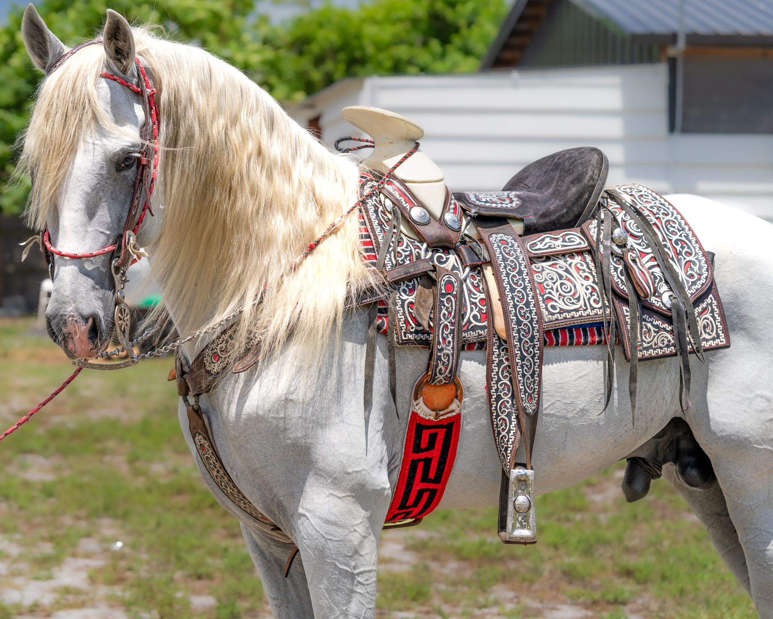 FlemingPH_16 de junio de 2025_007-6