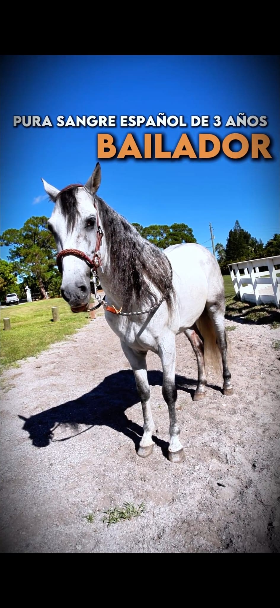 PHOTO-2025-08-19-11-08-50 (1)