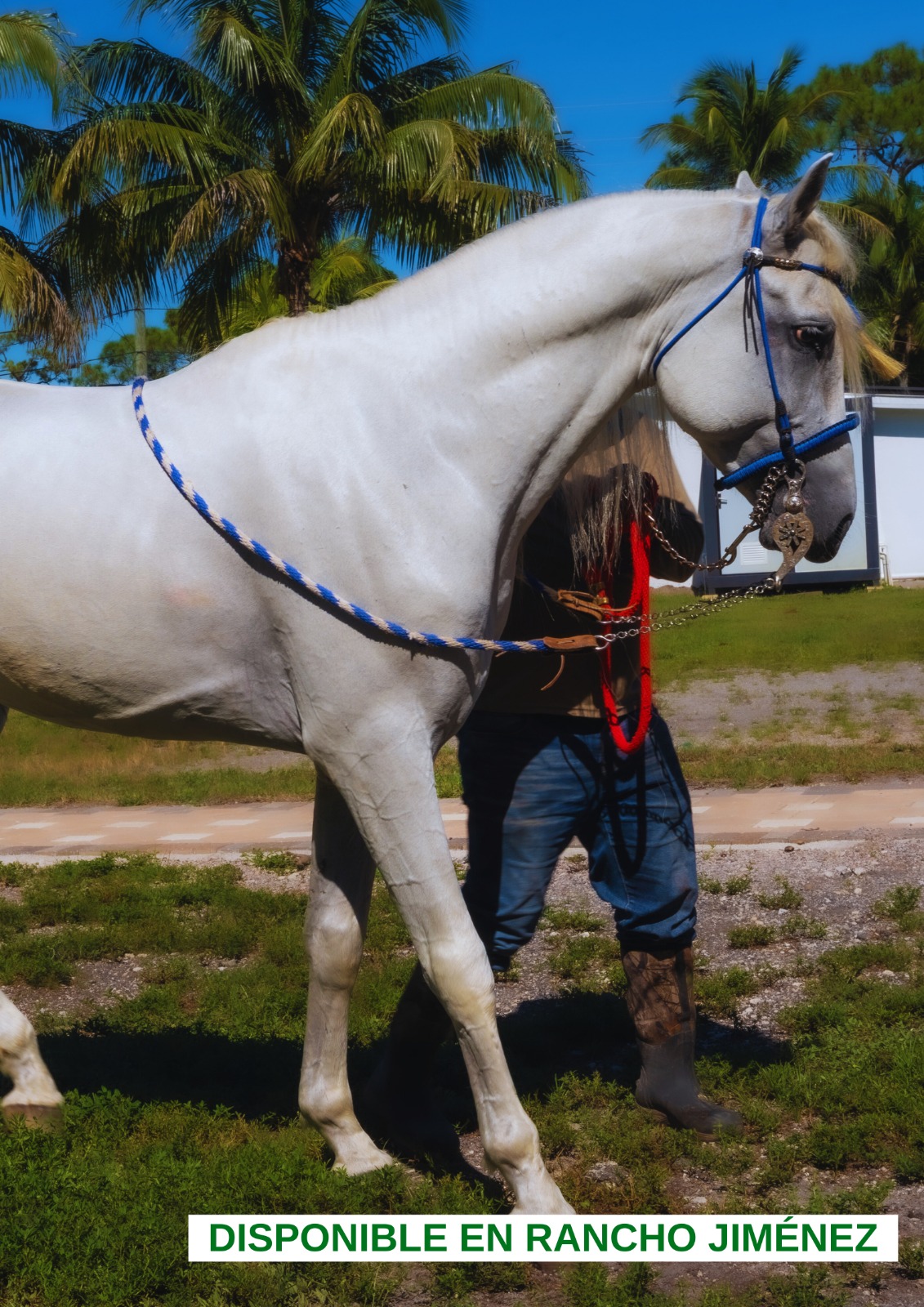 PHOTO-2025-08-21-11-58-11