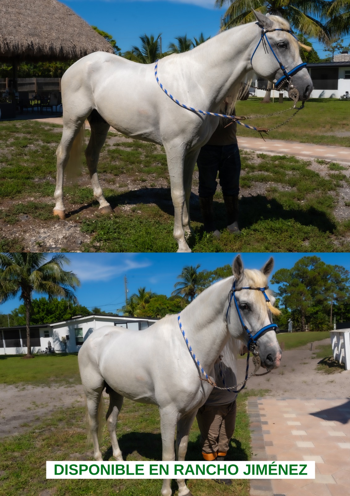 PHOTO-2025-08-21-11-58-12 2