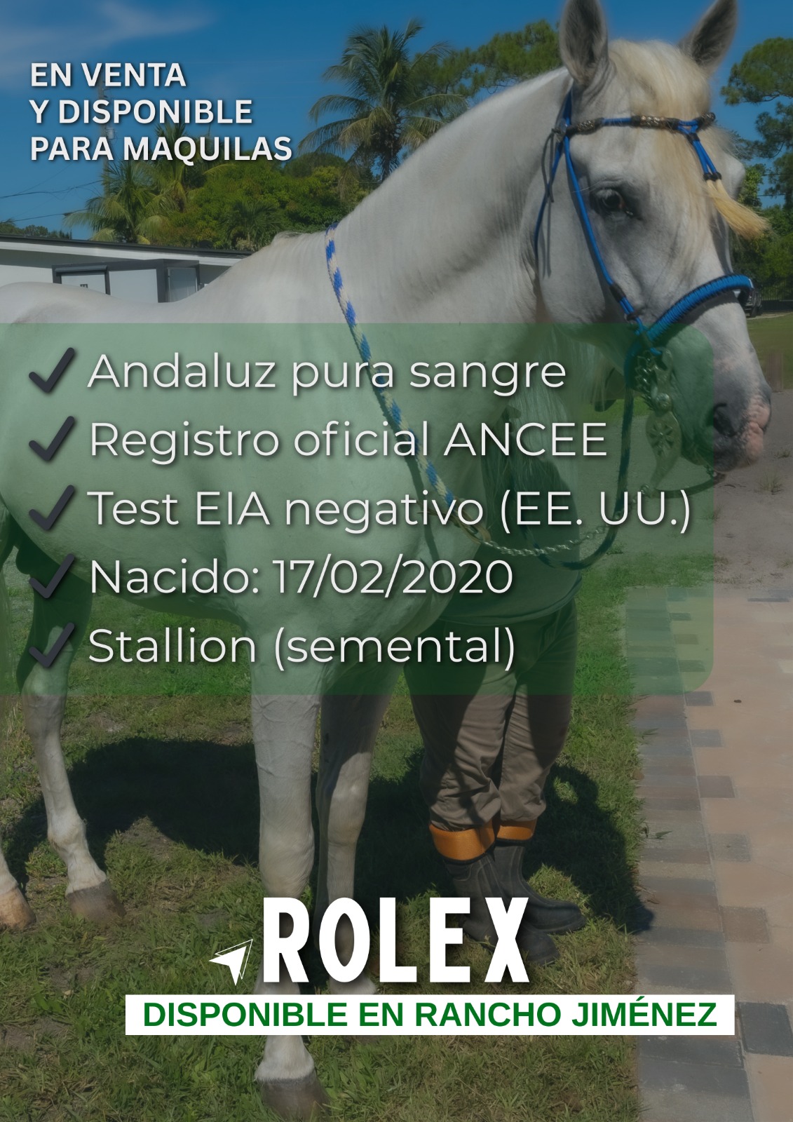 PHOTO-2025-08-21-11-58-12