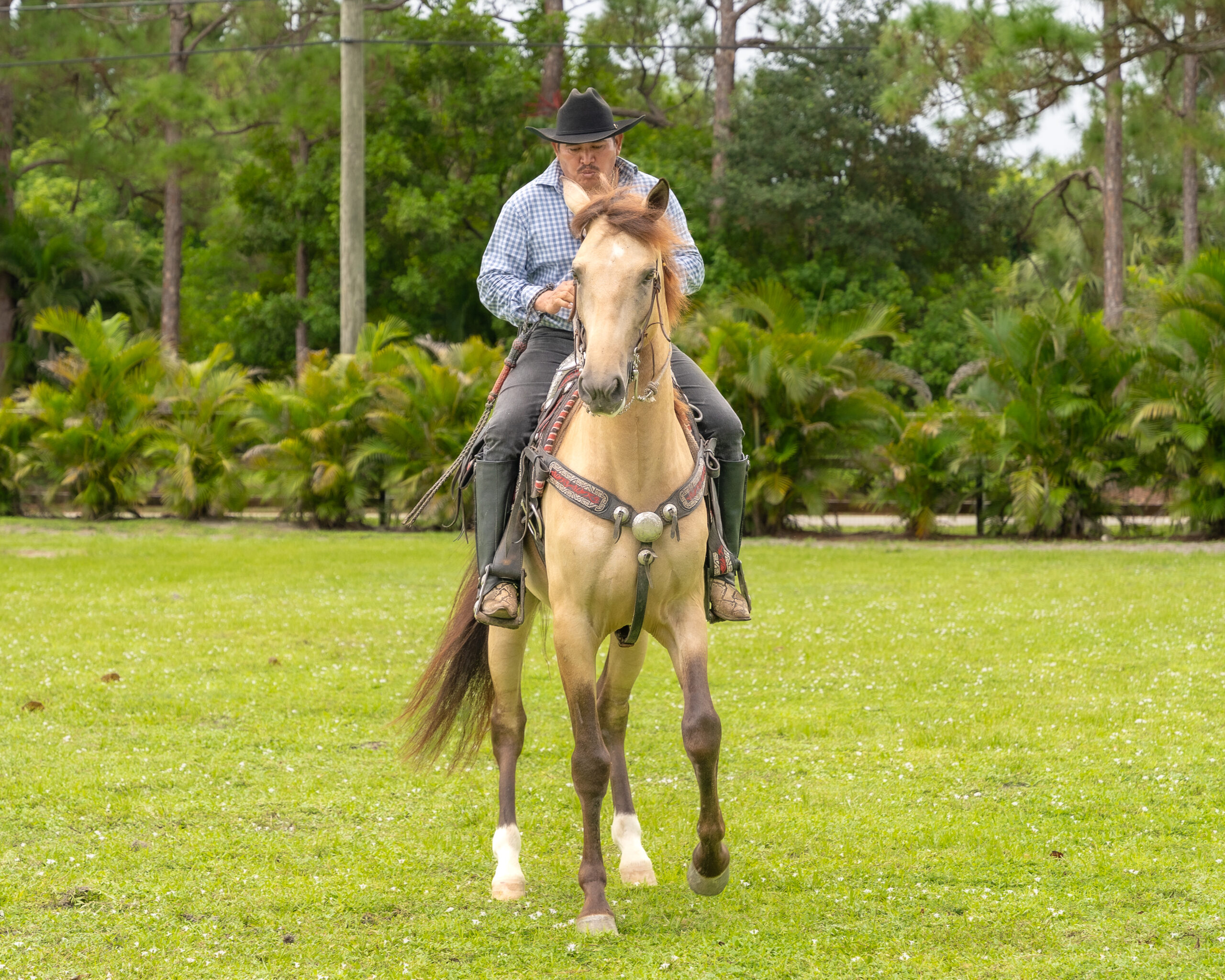 RANCHO-JIMENEZ-FL-CABALLO-COYOTE (1)