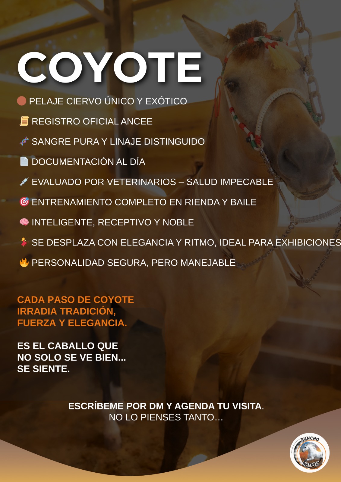 RANCHO-JIMENEZ-FL-CABALLO-COYOTE (18)