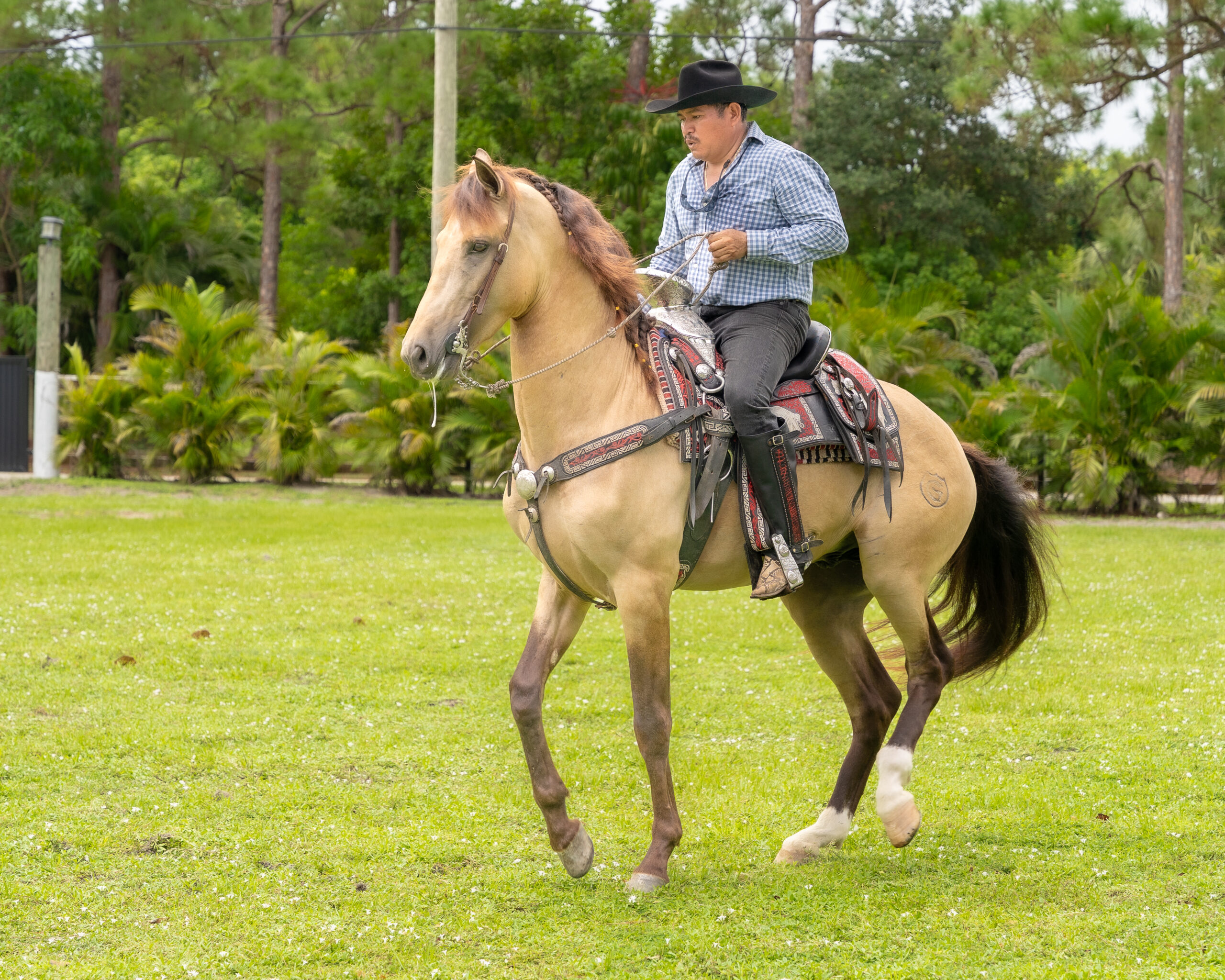 RANCHO-JIMENEZ-FL-CABALLO-COYOTE (2)