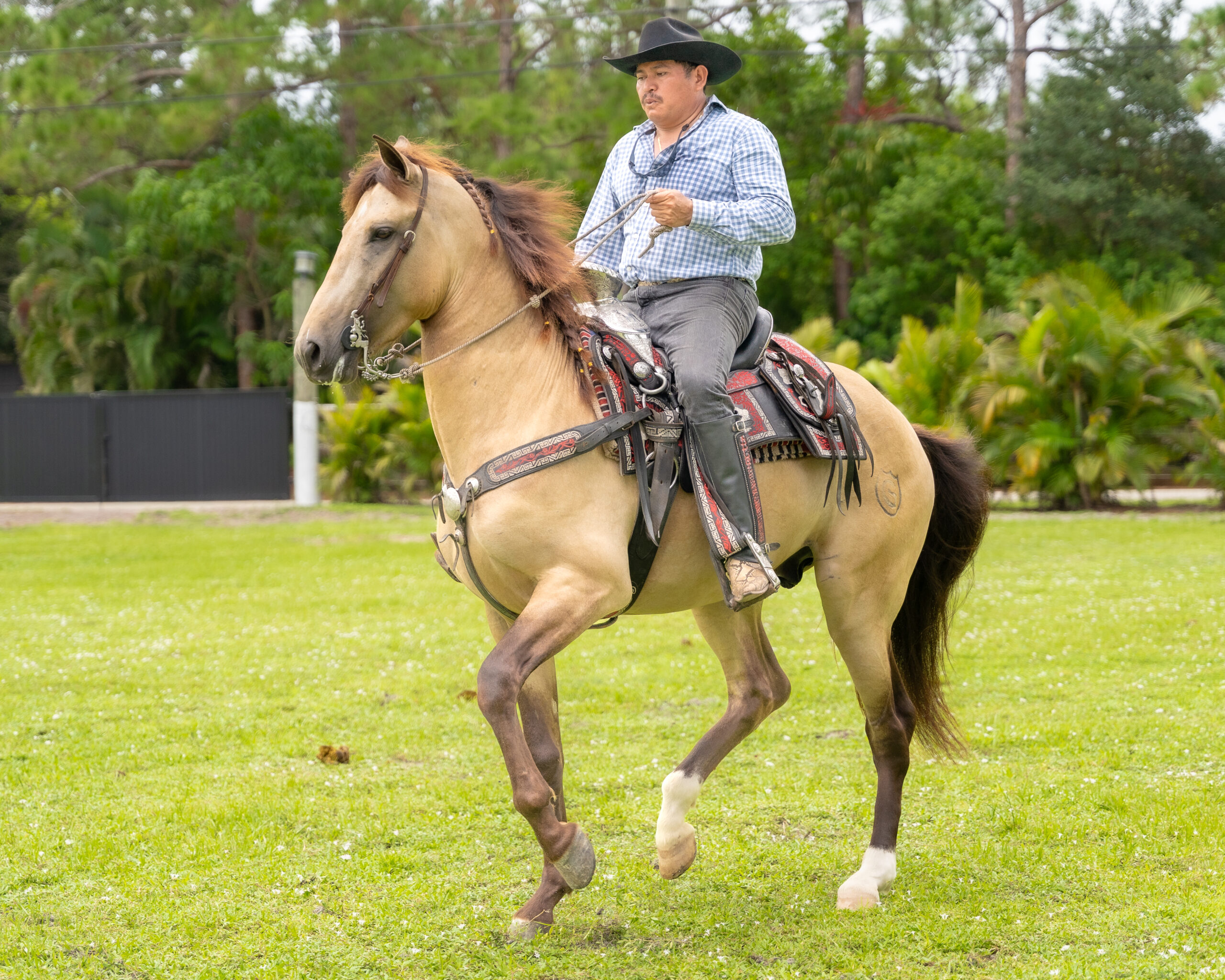 RANCHO-JIMENEZ-FL-CABALLO-COYOTE (5)