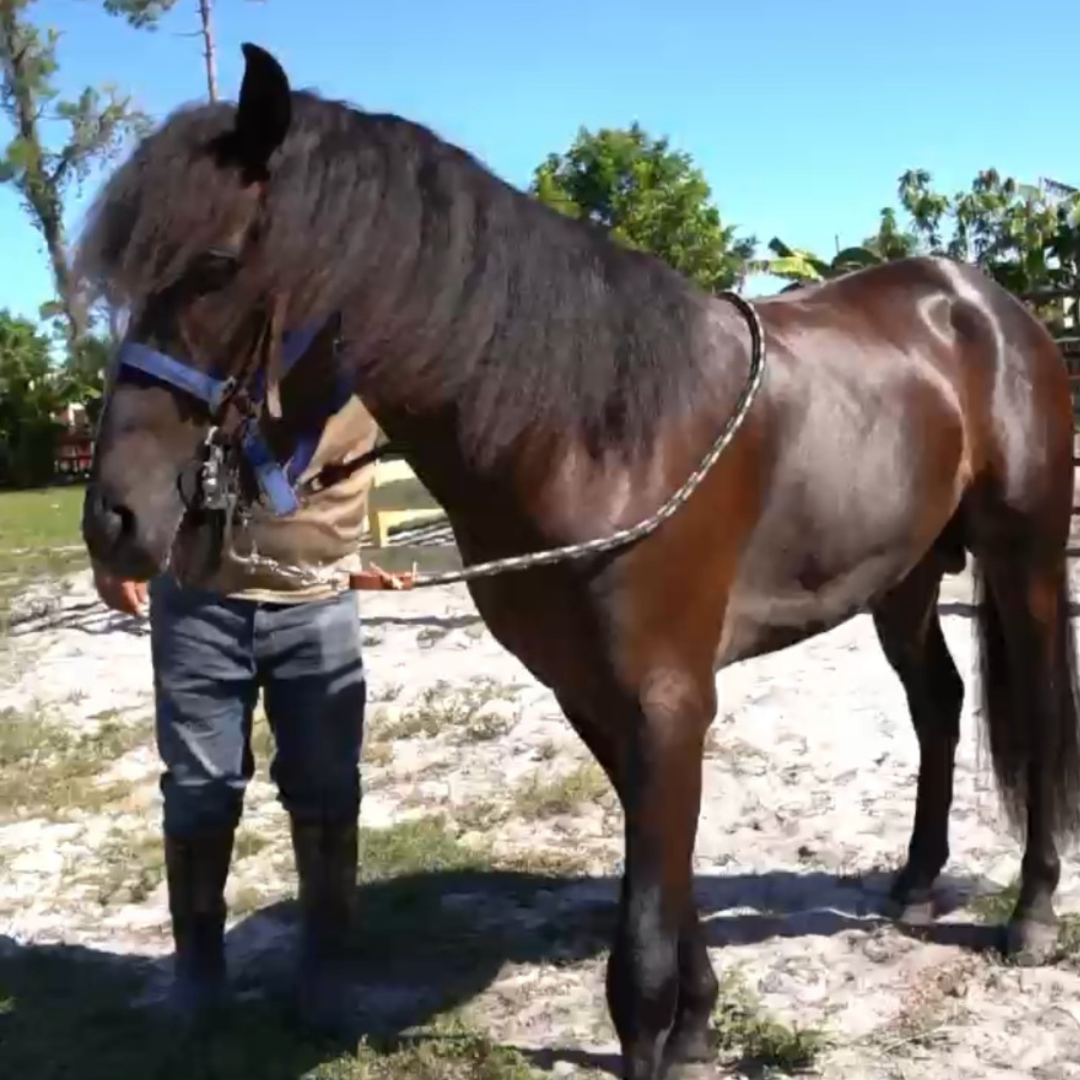 Rancho-Jimenez-Huracan