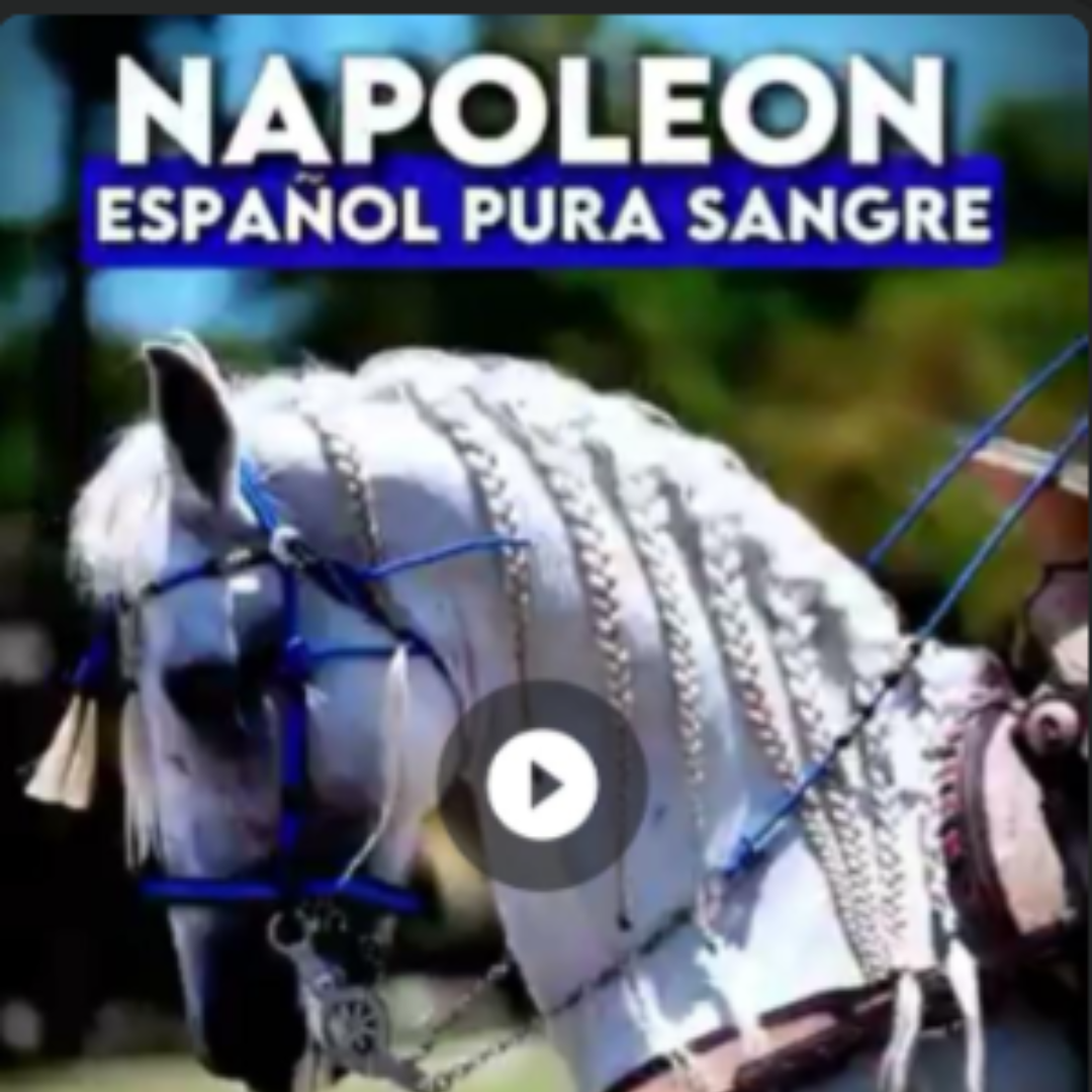 Rancho-Jimenez- Napoleon