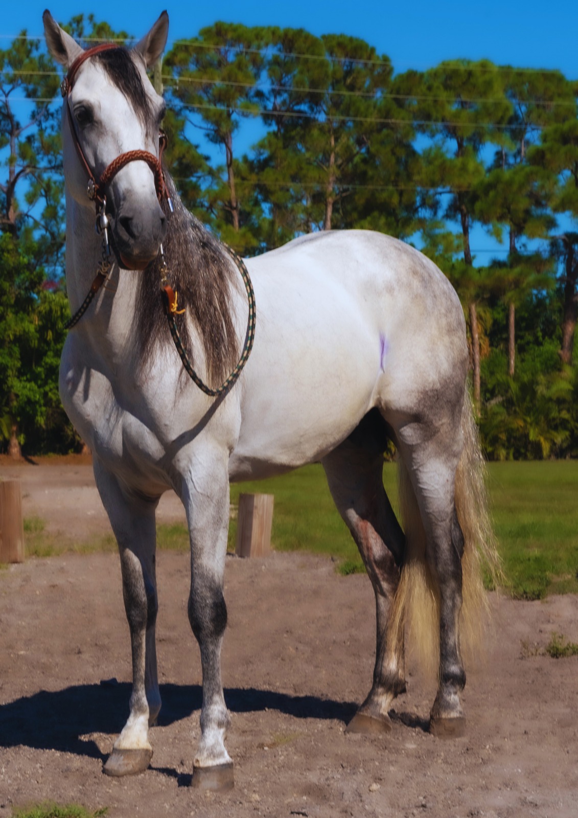 WhatsApp Image 2025-09-15 at 7.32.13 AM (1)