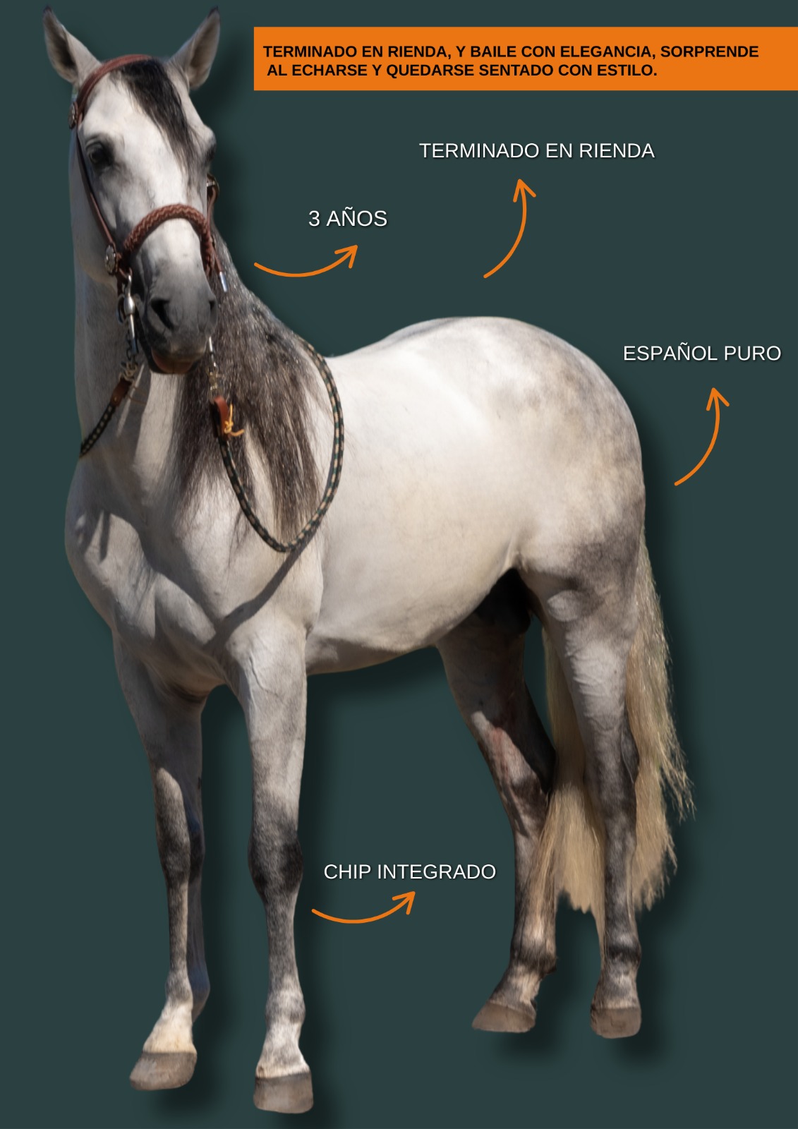 WhatsApp Image 2025-09-15 at 7.32.13 AM